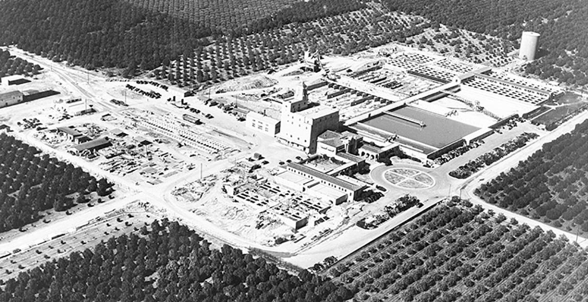 Aerial view of the Softening and Filtration Plant surrounded by orange groves. January 31, 1949.